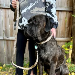 Dog Collar - Accessories